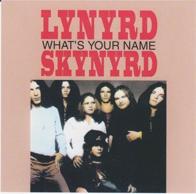 Lynyrd Skynyrd - What's Your Name download mp3 flac