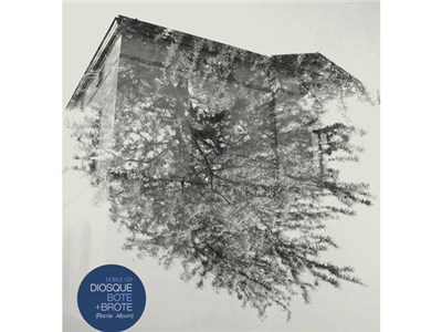 Diosque - Bote download mp3 flac