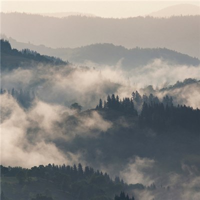 The Green Kingdom - Vapor Sequences download mp3 flac