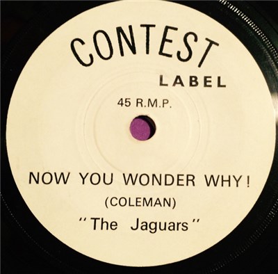 The Jaguars - Now You Wonder Why download mp3 flac