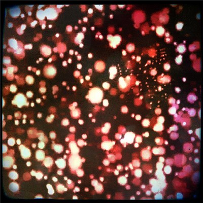 Mustapha Mond - Flossy download mp3 flac