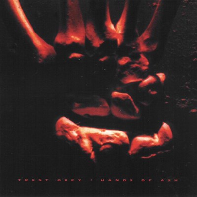 Trust Obey - Hands Of Ash download mp3 flac