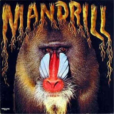 Mandrill - Mandrill download mp3 flac