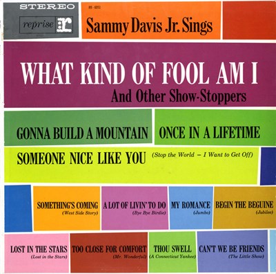 Sammy Davis Jr. - Sammy Davis Jr. Sings What Kind Of Fool Am I And Other Show-Stoppers download mp3 flac