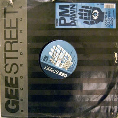 P.M. Dawn - Ode To A Forgetful Mind download mp3 flac