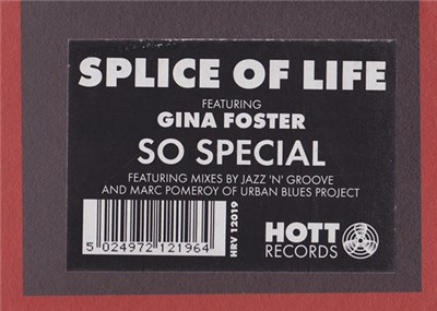 Splice Of Life Featuring Gina Foster - So Special download mp3 flac