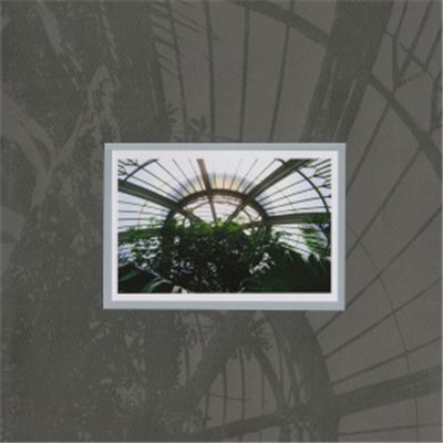 M. Mucci - Dangerous Summer download mp3 flac