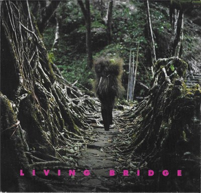 Various - Living Bridge download mp3 flac
