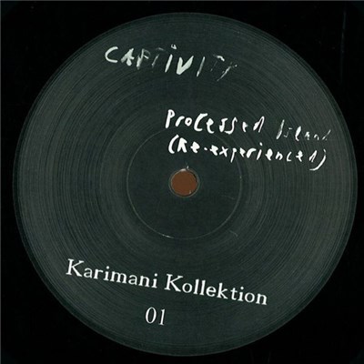 Denis Karimani - Processed Island download mp3 flac