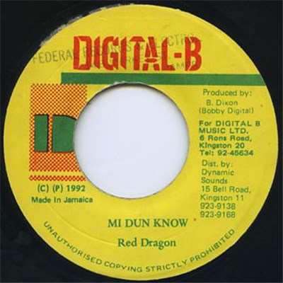 Red Dragon - Mi Dun Know download mp3 flac