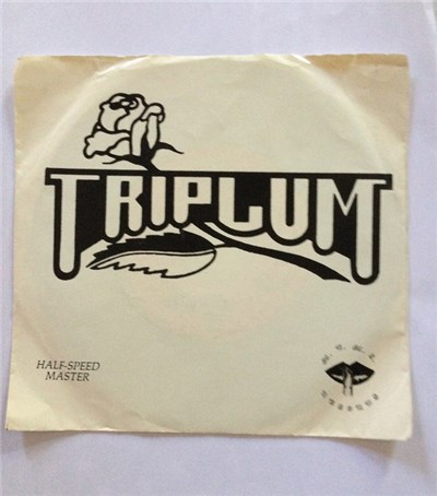 Triplum - Feel The Power download mp3 flac