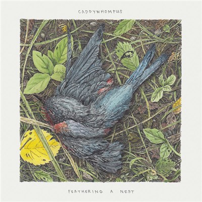 Caddywhompus - Feathering A Nest download mp3 flac