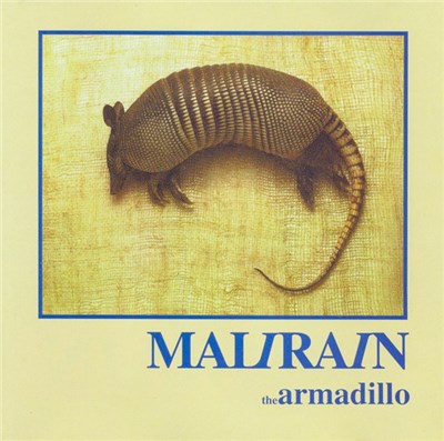 Mali Rain - The Armadillo download mp3 flac