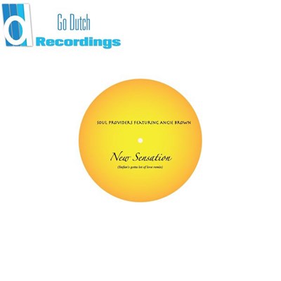 Soul Providers feat. Angie Brown - New Sensation download mp3 flac