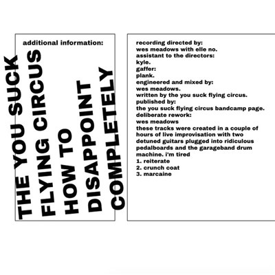 The You Suck Flying Circus - How To Disappoint Completely download mp3 flac