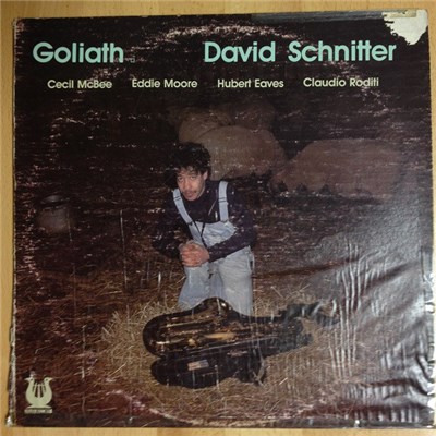 David Schnitter - Goliath download mp3 flac