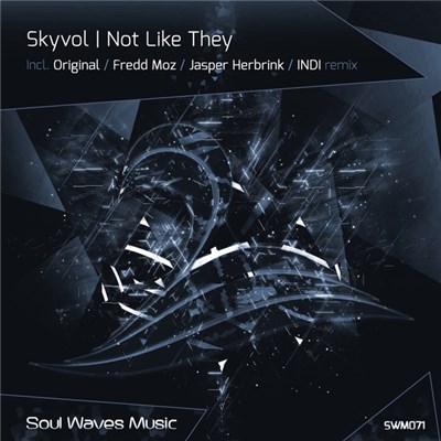 Skyvol - Not Like They download mp3 flac