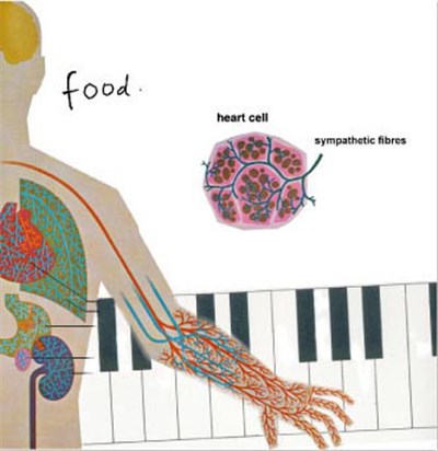 Food - Sympathetic Heart Cell Fibres download mp3 flac