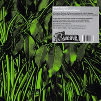 Patrick Raddatz, Florida Boys - Everglade download mp3 flac