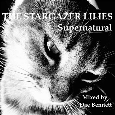 The Stargazer Lilies - Supernatural download mp3 flac