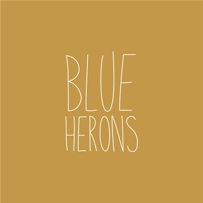 Blue Herons - I've Been Thinking / Falling Out Of The Air download mp3 flac
