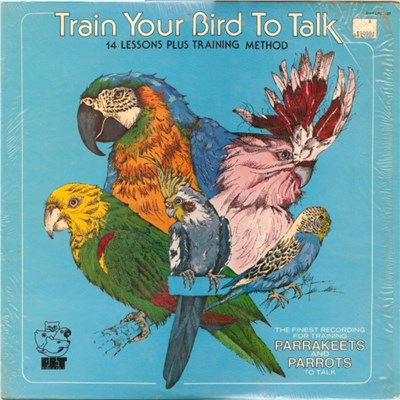 No Artist - Train Your Bird To Talk download mp3 flac