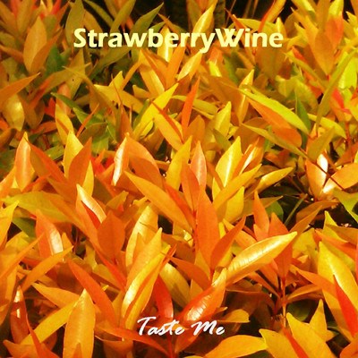 StrawberryWine - Taste Me: mini-discography [2009-2012] download mp3 flac