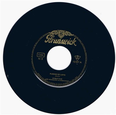 Mitchell Torok - Pledge Of Love download mp3 flac