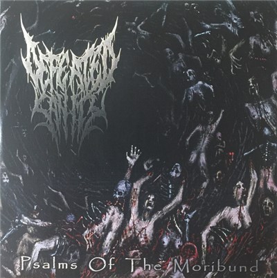 Defeated Sanity - Psalms Of The Moribund download mp3 flac