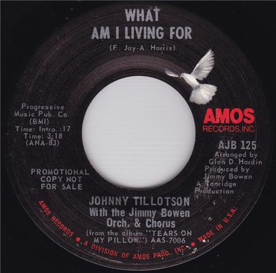 Johnny Tillotson With Jimmy Bowen Orchestra & Chorus - What Am I Living For / Joy To The World download mp3 flac