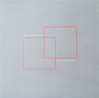 Pinegrove - Cardinal download mp3 flac