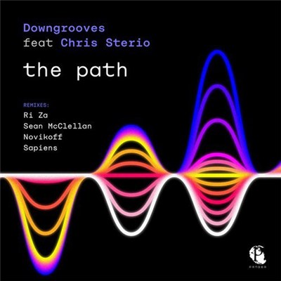 Downgrooves Feat Chris Sterio - The Path download mp3 flac