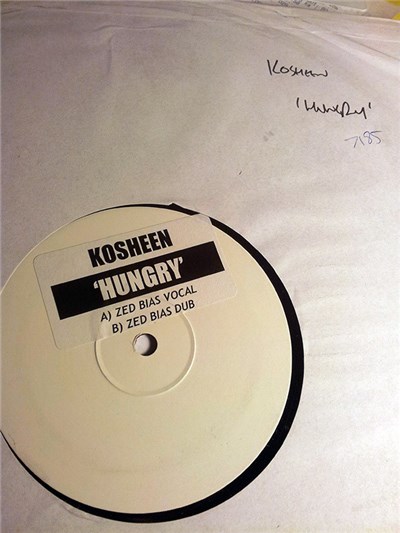 Kosheen - Hungry (Zed Bias Remixes) download mp3 flac