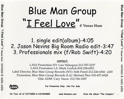 Blue Man Group Feat. Venus Hum - I Feel Love download mp3 flac