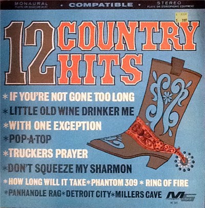 Various - 12 Country & Western Hits download mp3 flac