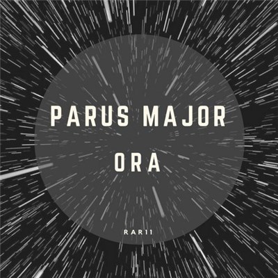 Parus Major - Ora download mp3 flac