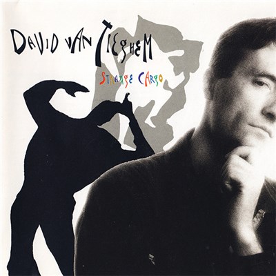David Van Tieghem - Strange Cargo download mp3 flac