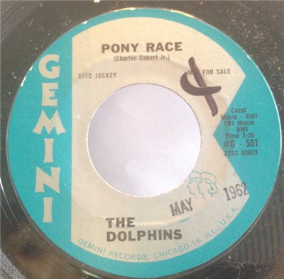 The Dolphins - Pony Race download mp3 flac