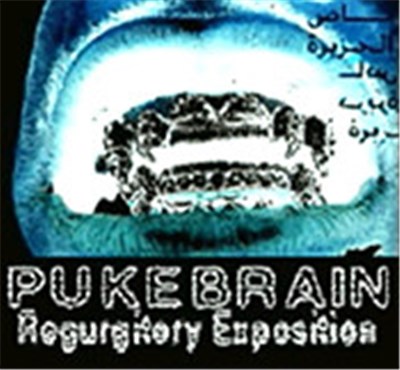 Pukebrain - Regurgitory Exposition download mp3 flac