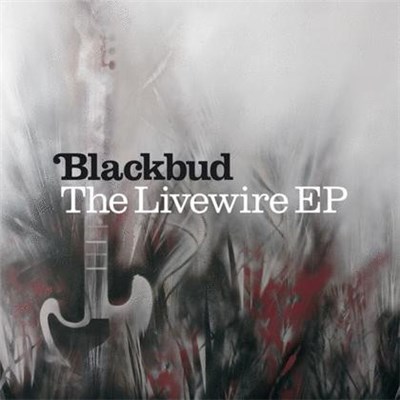Blackbud - The Livewire EP download mp3 flac