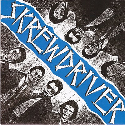 Skrewdriver - You're So Dumb download mp3 flac