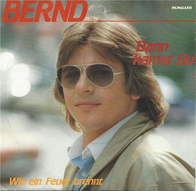 Bernd - Dann Kamst Du download mp3 flac