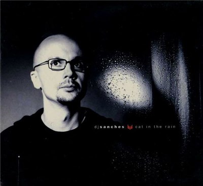 Dj Sanches - Cat In The Rain download mp3 flac