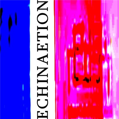 RedSK - Echinaetion download mp3 flac