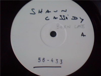 Shaun Cassidy - Born Late download mp3 flac