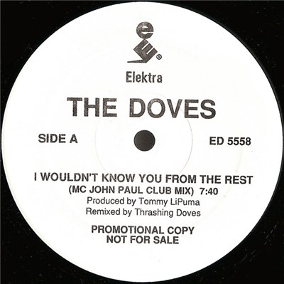 The Doves - I Wouldn't Know You From The Rest download mp3 flac