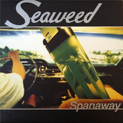 Seaweed - Spanaway download mp3 flac
