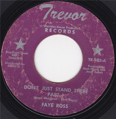 Faye Ross - Don't Just Stand There download mp3 flac
