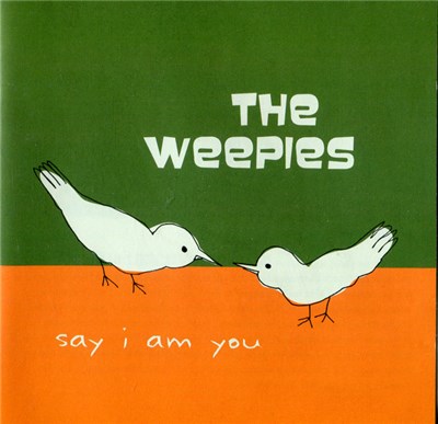 The Weepies - Say I Am You download mp3 flac