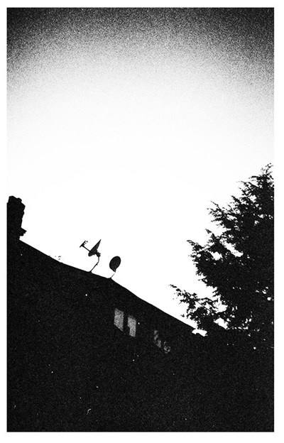 Swallowing Bile / The Bringer Of Everything - Swallowing Bile / The Bringer Of Everything download mp3 flac